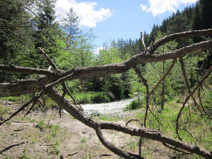 Nature RawFlow Terra Sono