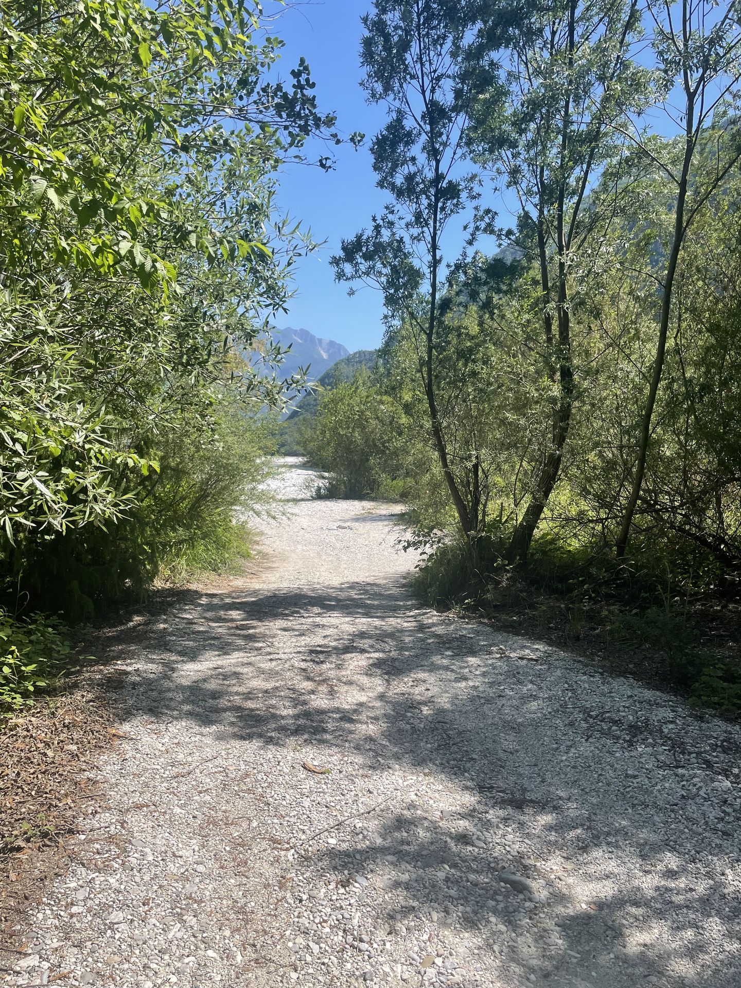 nature
